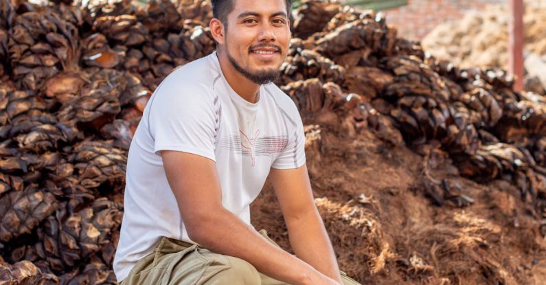 Production Timeline - A man squatting in front of a pile of dried fruit